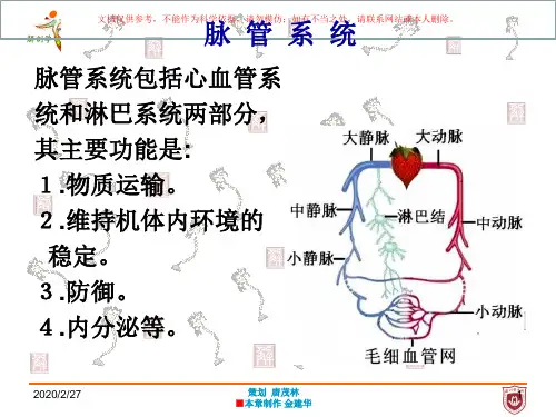 脉管系总论心血管系统培训课件