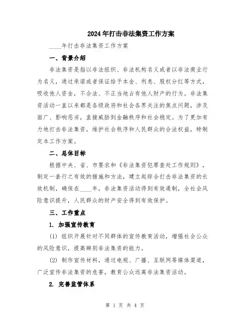2024年打击非法集资工作方案