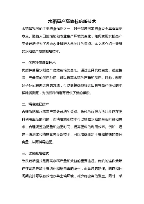 水稻高产高效栽培新技术