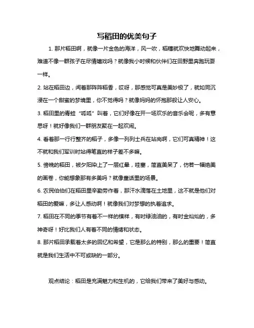 写稻田的优美句子