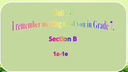 Unit 14 Section B(1a-1e)九年级英语全册(人教版)
