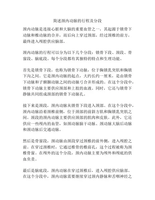 简述颈内动脉的行程及分段
