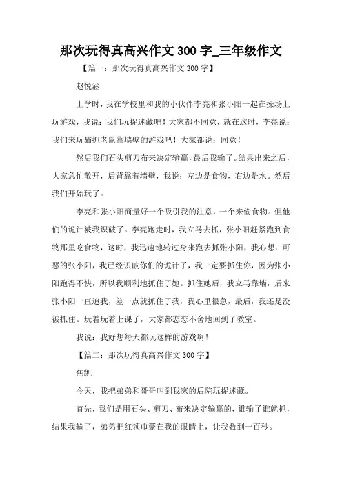那次玩得真高兴作文300字_三年级作文