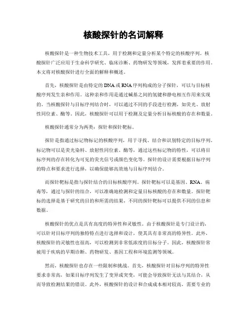 核酸探针的名词解释