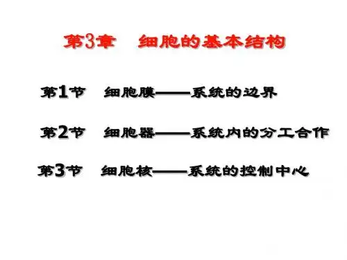 3.2 细胞器———系统内的分工合作