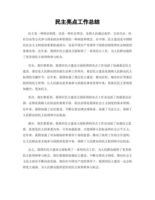 民主亮点工作总结