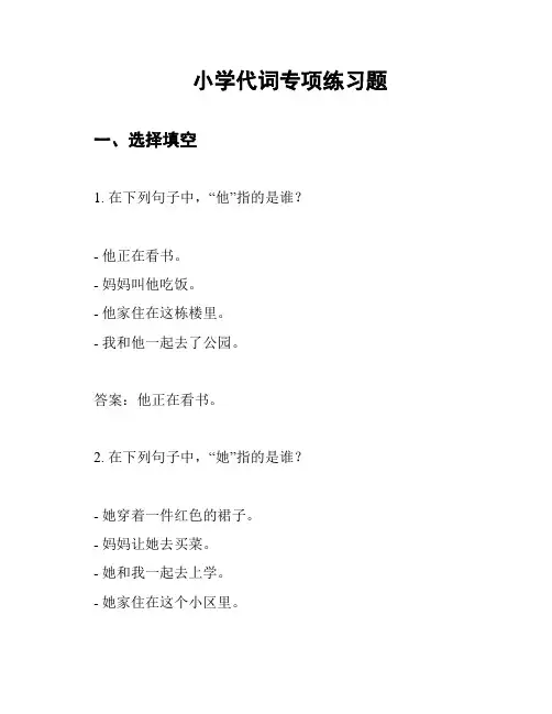 小学代词专项练习题