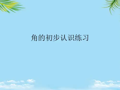角的初步认识练习最全PPT