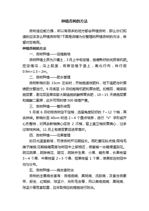 种植杏树的方法