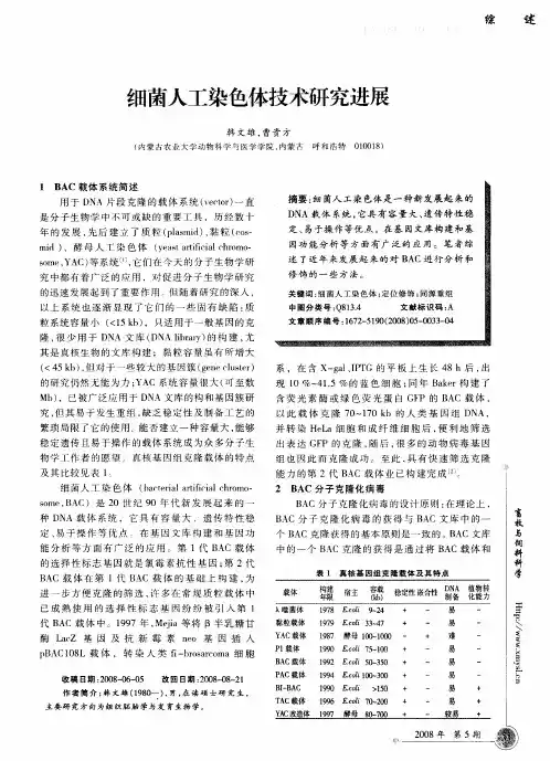 细菌人工染色体技术研究进展