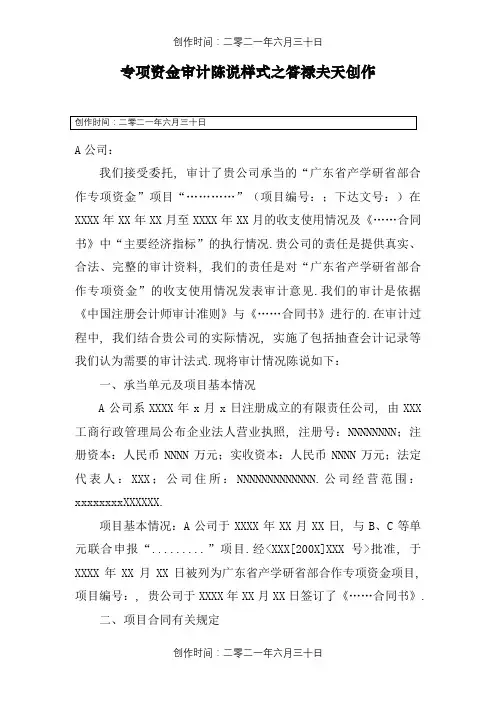 专项资金审计报告样式
