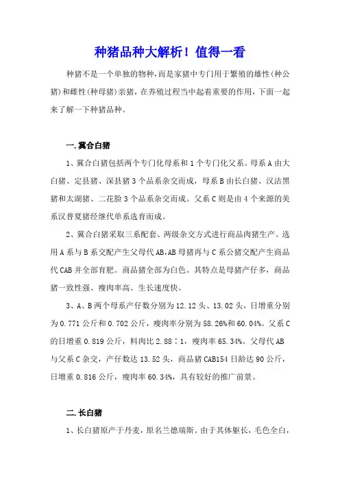 种猪品种大解析!值得一看