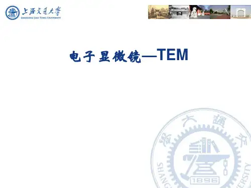 电子显微镜-TEM
