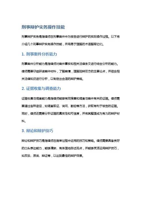刑事辩护实务操作技能与执业风险防范