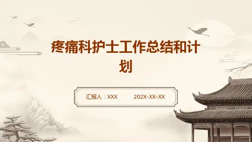 疼痛科护士工作总结和计划PPT课件