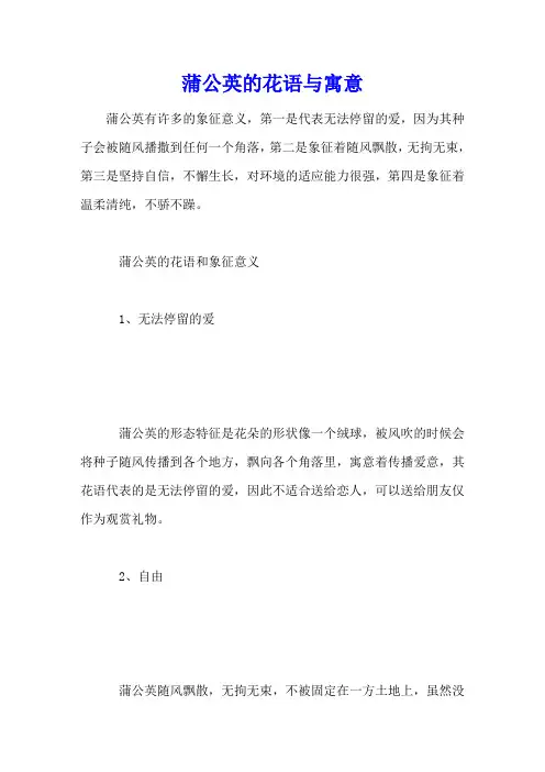 蒲公英的花语与寓意