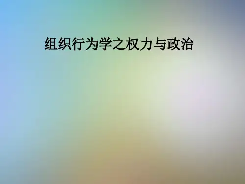 组织行为学之权力与政治