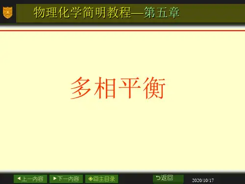 物理化学简明教程第四版第五章-1