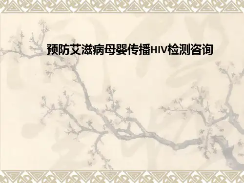 预防艾滋病母婴传播HIV检测咨询PPT课件