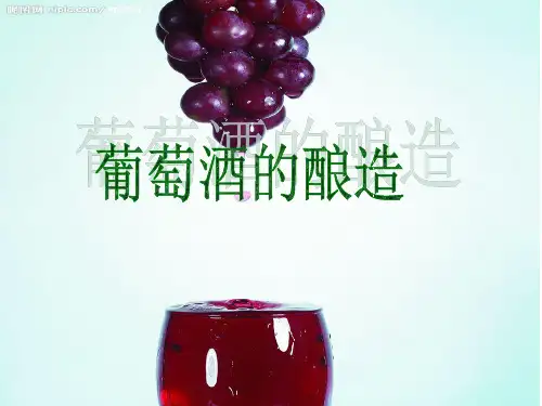 葡萄酒酿造课件PPT课件