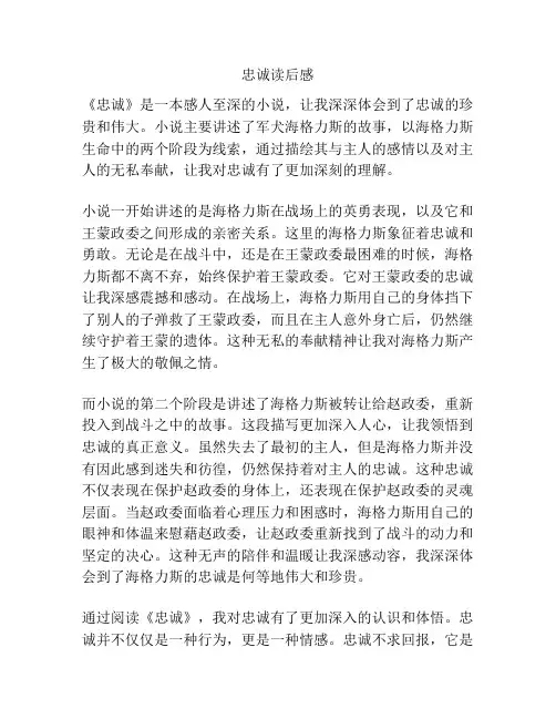 忠诚读后感