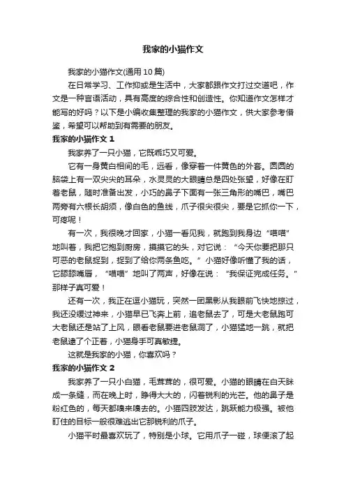 我家的小猫作文（通用10篇）