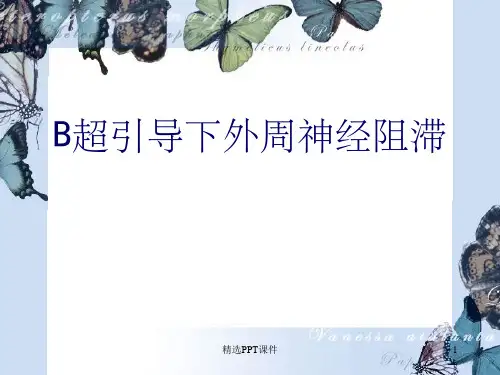 B超引导下神经阻滞PPT课件