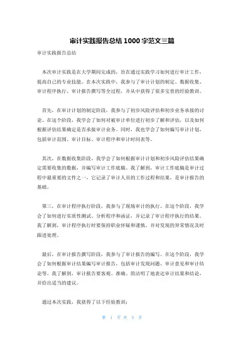 审计实践报告总结1000字范文三篇