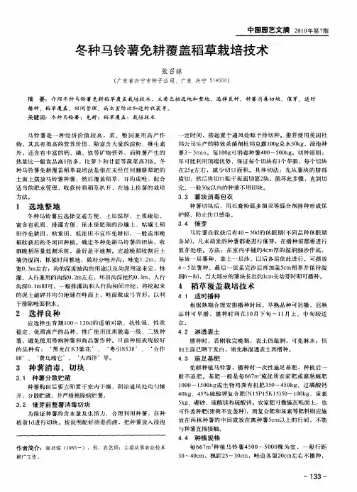 冬种马铃薯免耕覆盖稻草栽培技术