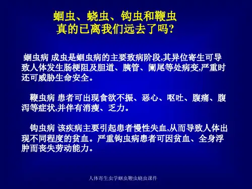 人体寄生虫学蛔虫鞭虫蛲虫课件