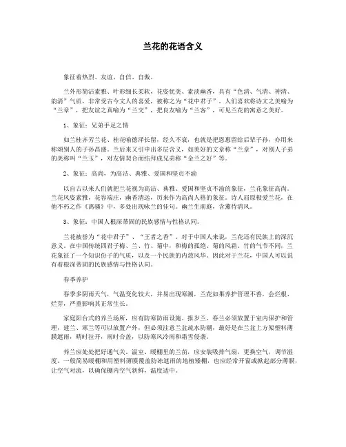 兰花的花语含义