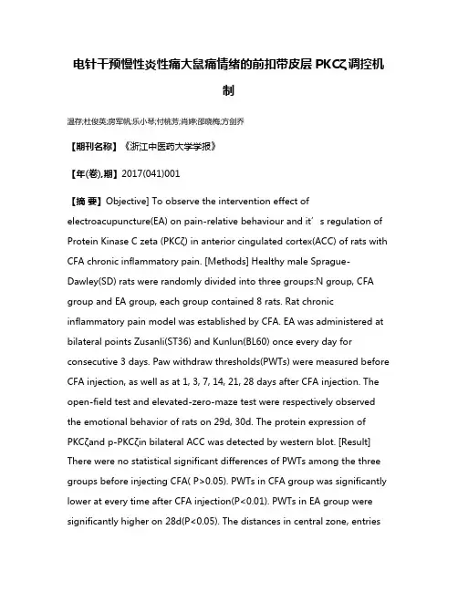 电针干预慢性炎性痛大鼠痛情绪的前扣带皮层PKCζ调控机制