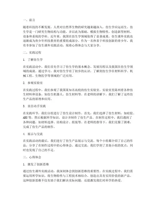 仿生课外实践心得体会