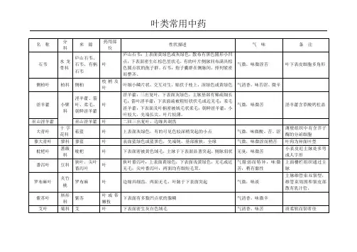 叶类常用中药