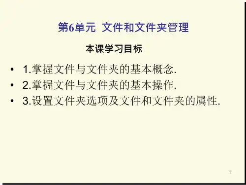 文件和文件夹管理---ppt课件