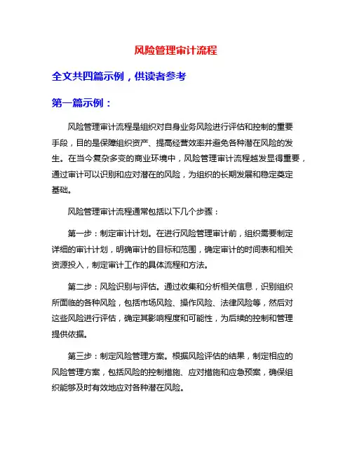 风险管理审计流程