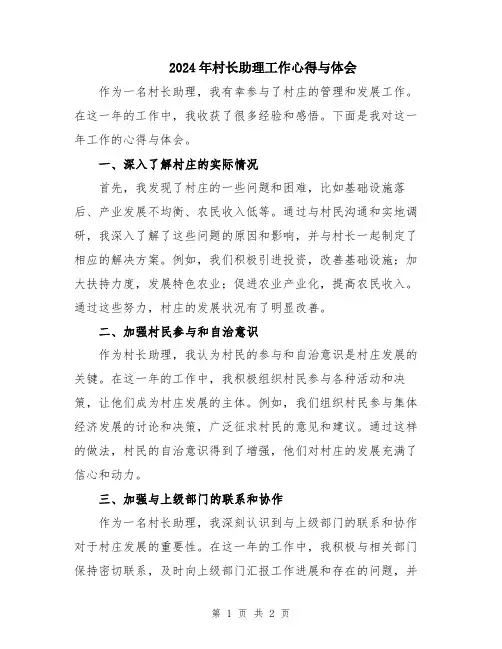 2024年村长助理工作心得与体会