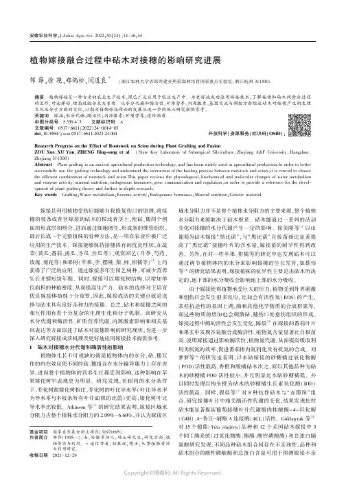 植物嫁接融合过程中砧木对接穗的影