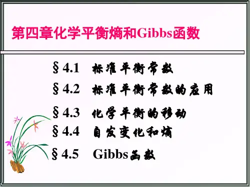 无机化学课件：第四章化学平衡熵和Gibbs函数