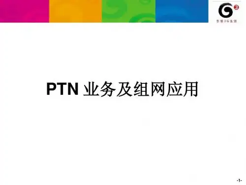 PTN 业务及组网应用