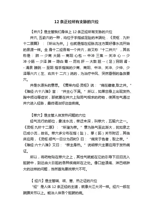 12条正经所有支脉的穴位