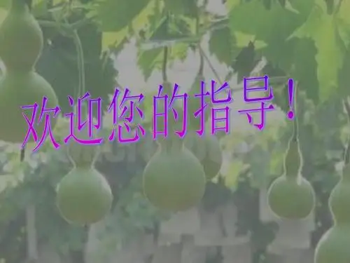 人教版二年级语文上册14、我要的是葫芦
