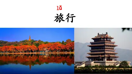 统编版三年级语文上册10《在牛肚子里旅行》课件(共23张PPT)