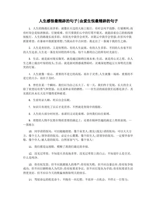人生感悟最精辟的句子由爱生恨最精辟的句子