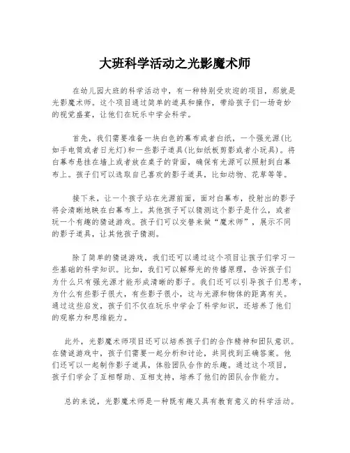 大班科学活动之光影魔术师