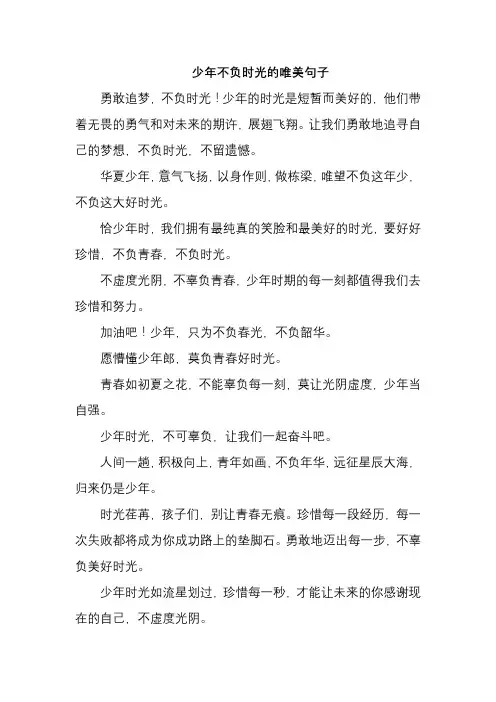 少年不负时光的唯美句子