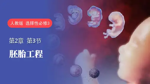 高中生物优秀课件 胚胎工程(第一课时)实用