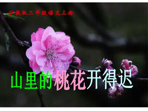 《山里的桃花开得迟》(沪教版二年级语文上册)PPT课件