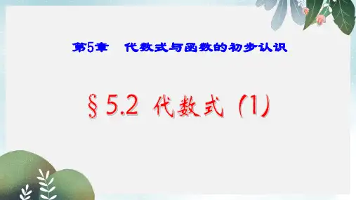 七年级数学上册第五章代数式与函数的初步认识5