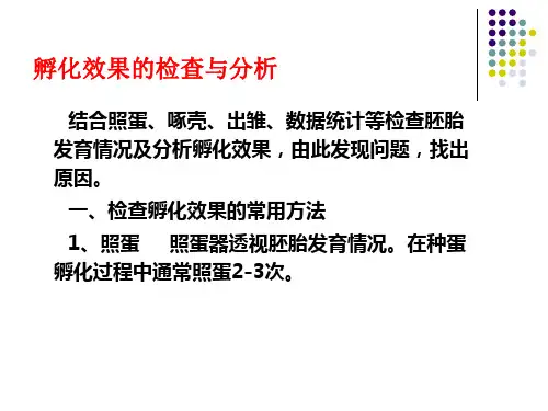 禽生产学4-2